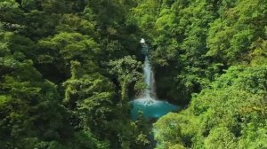 🌴 Дикая природа Амазонки