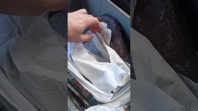 ВЕЗДЕ КАК ДОМА