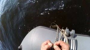 Клёвая рыбалка в Бурятии19-20.06.2025. Ловим омуля с лодки на Байкале. Фильм2. Заключительная серия