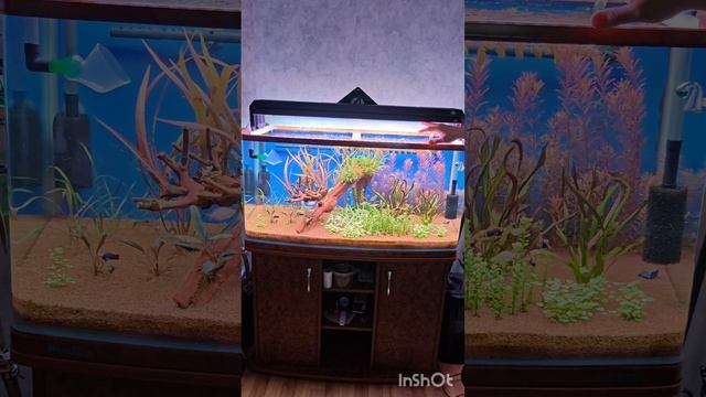 Week aqua светильник Серия P. Светильник для аквариума смотреть онлайн