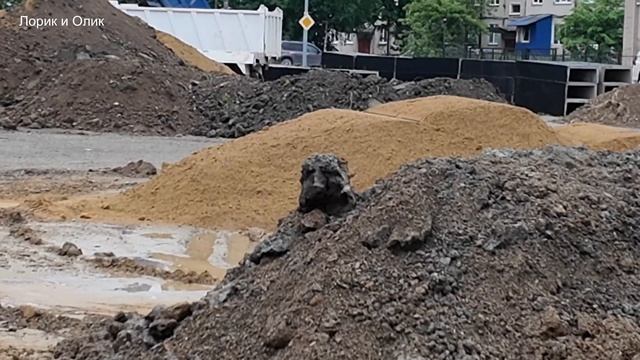 Гуляем с Лориком. Сразу после тренировки. Интересный комок грязи. смотреть онлайн