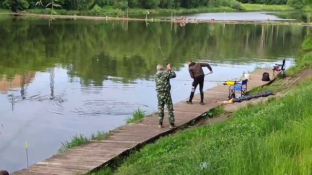 Карп смотреть онлайн
