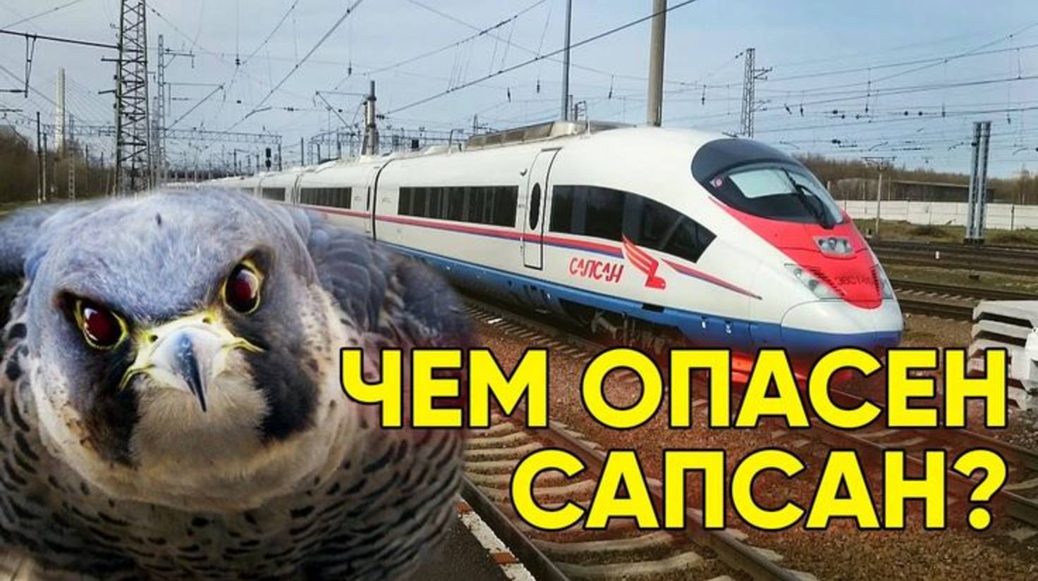 "Сапсан" самая быстрая птица смотреть онлайн