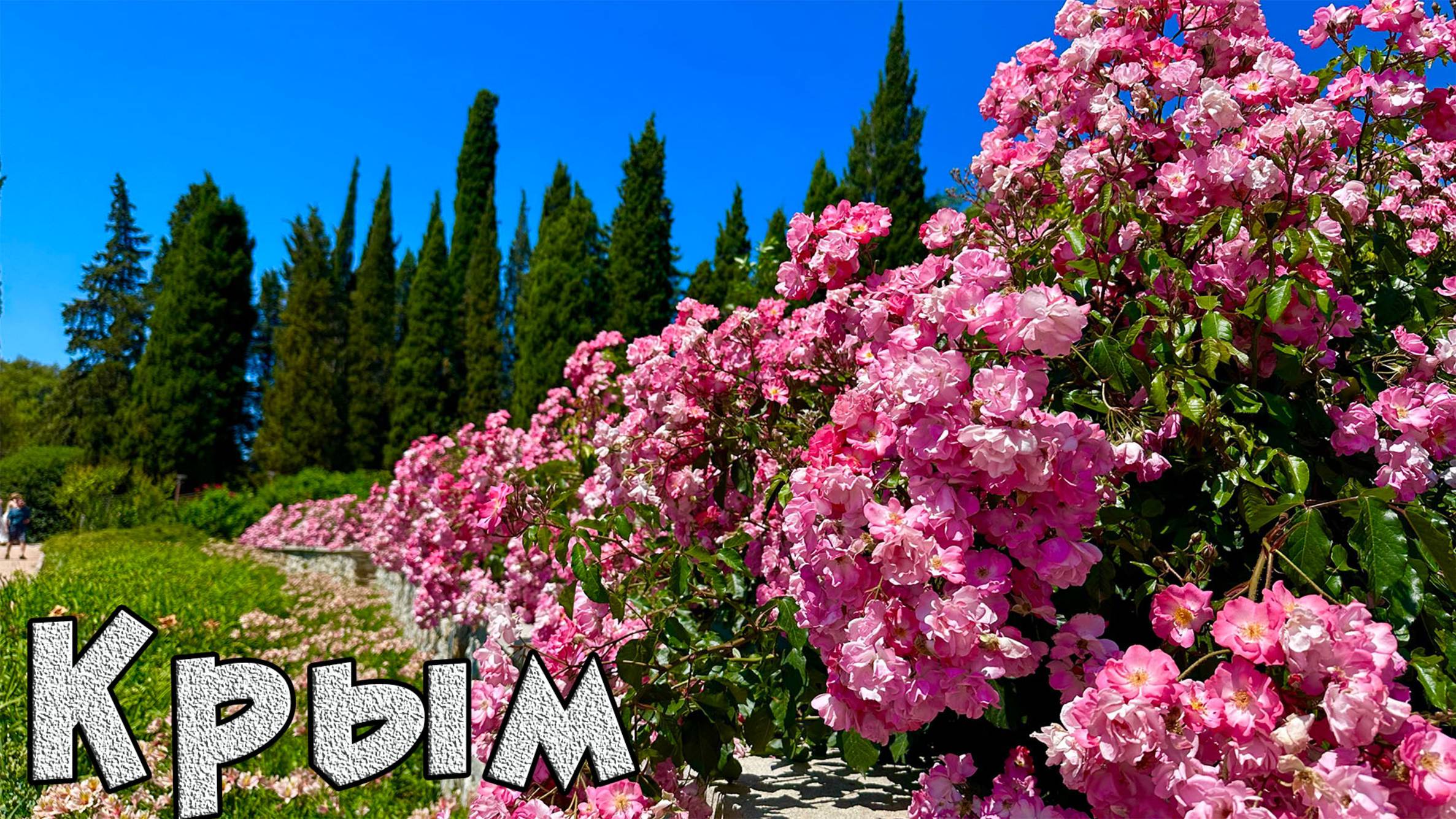 ИСПРАВЛЕН ЗВУК. Розовый вальс в Никитском ботаническом саду. А также Приморский парк в Никите. Крым смотреть онлайн