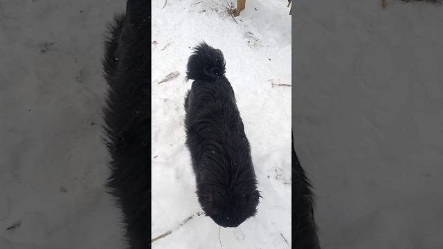 Терренкур. Зима . Дальний кордон