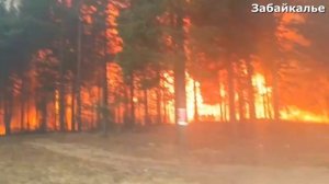 Огненная_стена_в_Забайкалье_уничтожает_дома!