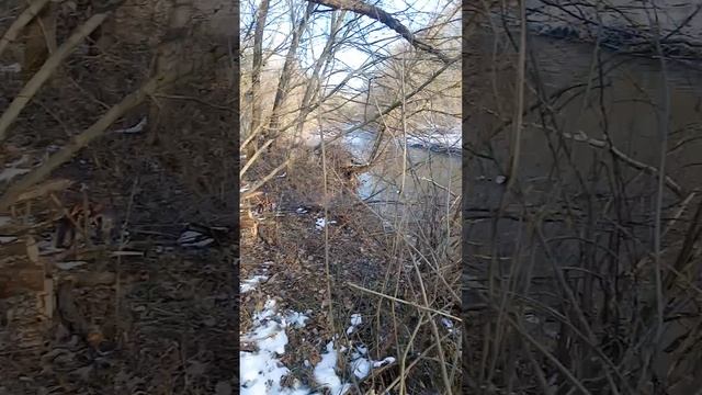 Терренкур. Зима. Стан 3,5км