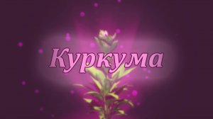 Лечебные свойства куркумы — мощная специя для здоровья!