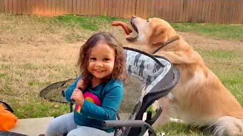 #42😆😆😆НЕВОЗМОЖНО ОСТАНОВИТЬСЯ🤣САМЫЕ СМЕШНЫЕ МОМЕНТЫ С СОБАЧКАМИ / ПОПРОБУЙ НЕ ЗАСМЕЯТЬСЯ😆😆😆 смотреть онлайн