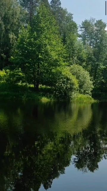 (51) Библия Евангелие от Иоанна глава 12 стих 12-22 смотреть онлайн