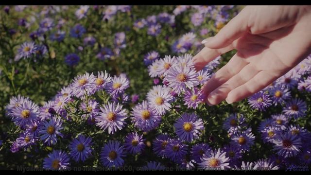 Кадры, снятые через кротовую нору - технологии будущего! - Charmed -- Ketsa -- Metaphysics