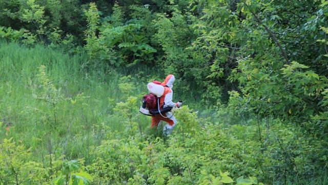 Борьба с Борщевиком