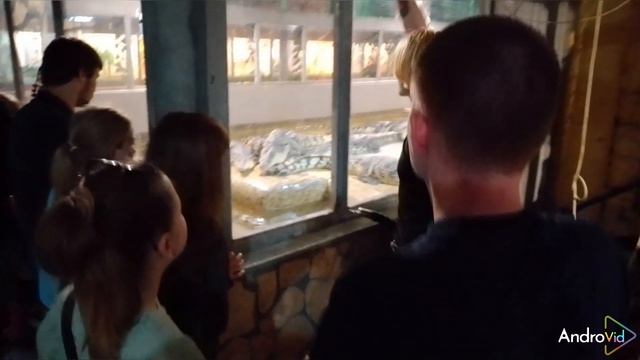 24.06.21 3 смотреть онлайн