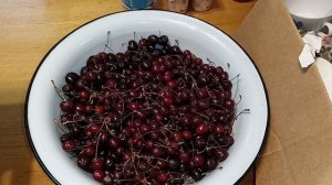 📢🚘🧐Поедем поглядим, день второй🤓📢