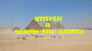 Отпуск в Шарм эль Шейхе.Отель Grand Oasis Resort.Снорклинг.Подводный мир.