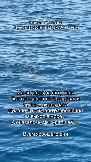 Везение или неудача ? смотреть онлайн