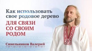 Как работать со своим родовым деревом? Как помогает человеку родовое дерево | Валерий Синельников