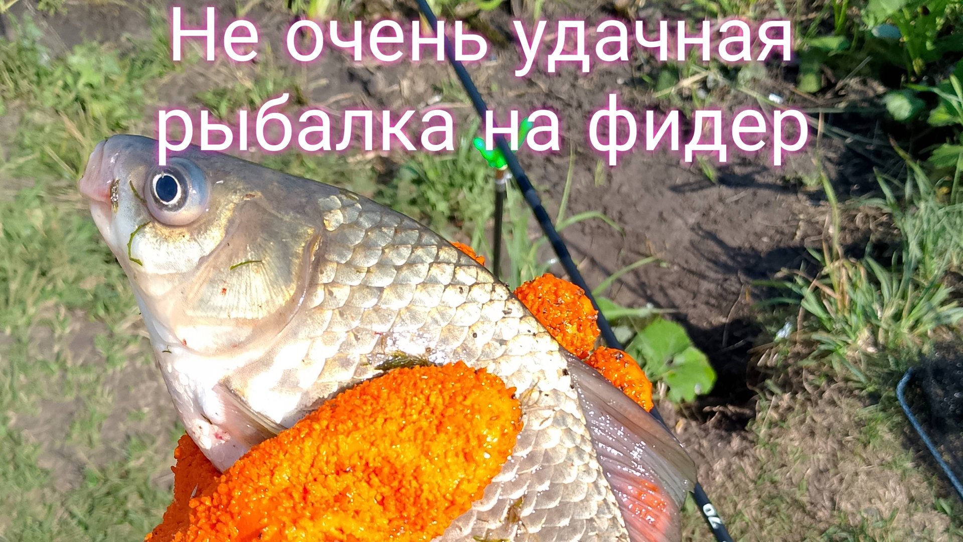 Не очень УДАЧНАЯ рыбалка НЕ ФИДЕР в изморось. Рыба ОБОРВАЛА СНАСТЬ?