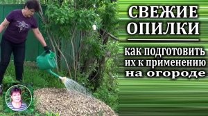 У вас есть свежие опилки Как их использовать на