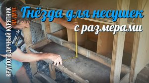 ГНЁЗДА для несушек на 120 ЯИЦ с месячной автономностью, размеры