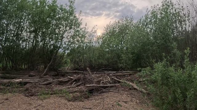 г. Тотьма один из заброшенных пляжей, прогулка. Всем хорошего просмотра. смотреть онлайн