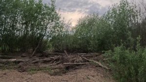 г. Тотьма один из заброшенных пляжей, прогулка. Всем хорошего просмотра.