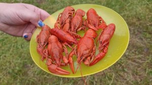 Раки маринованные