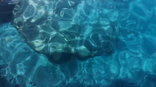 Amazing Underwater World With Calm Relaxing And Ambient Music | Relaxing Music For Sleep