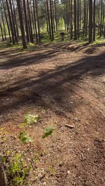 Прокатились по HardTrail #мото #мотоцикл #эндуро смотреть онлайн