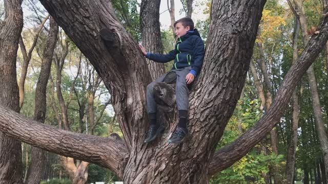 Выходные на Крестовском острове и на Ласковом пляже смотреть онлайн