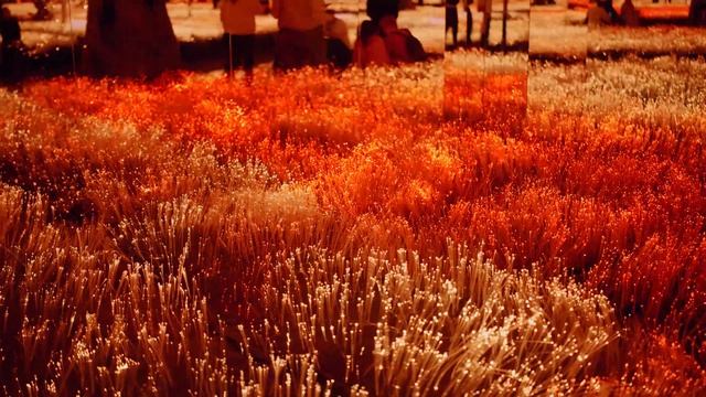 Futurione смотреть онлайн