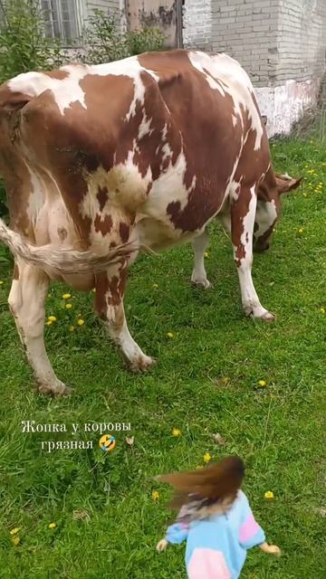 Деревенская рыжуха