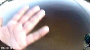 Вечерний выход окунька спиннинг dayo nano predatot 198 test 0.2-2gr