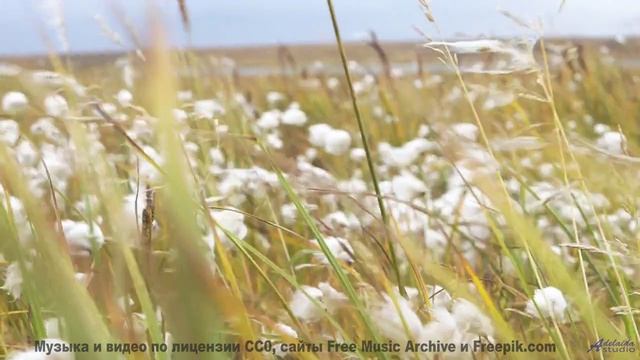 Почему духовные лидеры запрещают эту музыку - Montevideo -- Duncan Reid And The Big Heads -- Live At