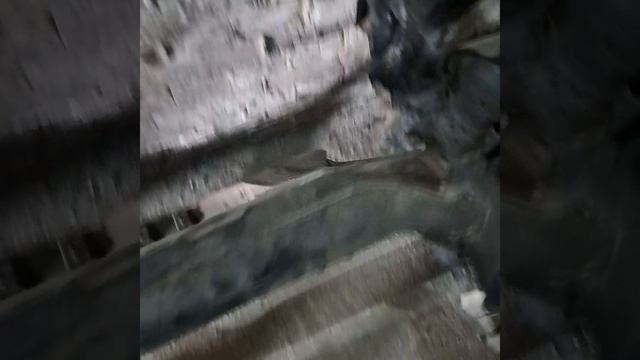 1000271113.mp4 t31 2.5 смотреть онлайн