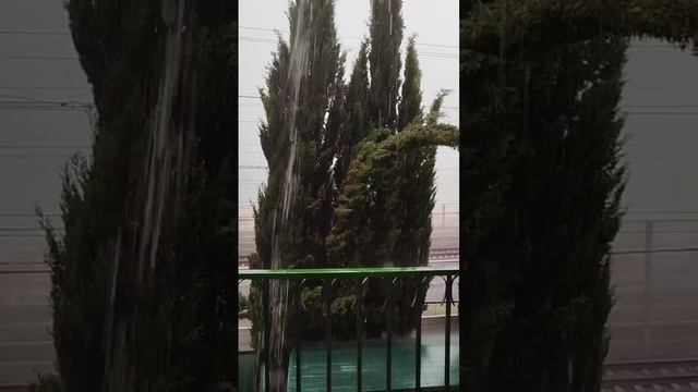 Погода в Лазаревском сегодня 23 июня 2025 снова ливни и шторм в Лазаревском сегодня, пляж Касабланка смотреть онлайн