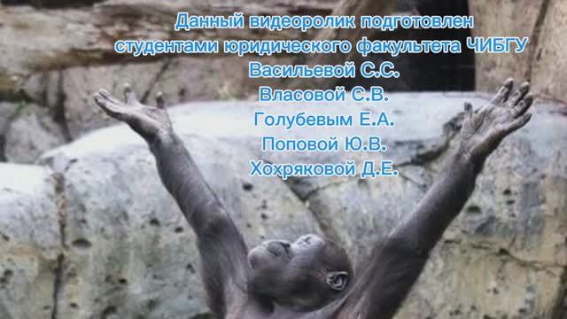 Молодежь Читы против наркотиков: видеорепортаж #2