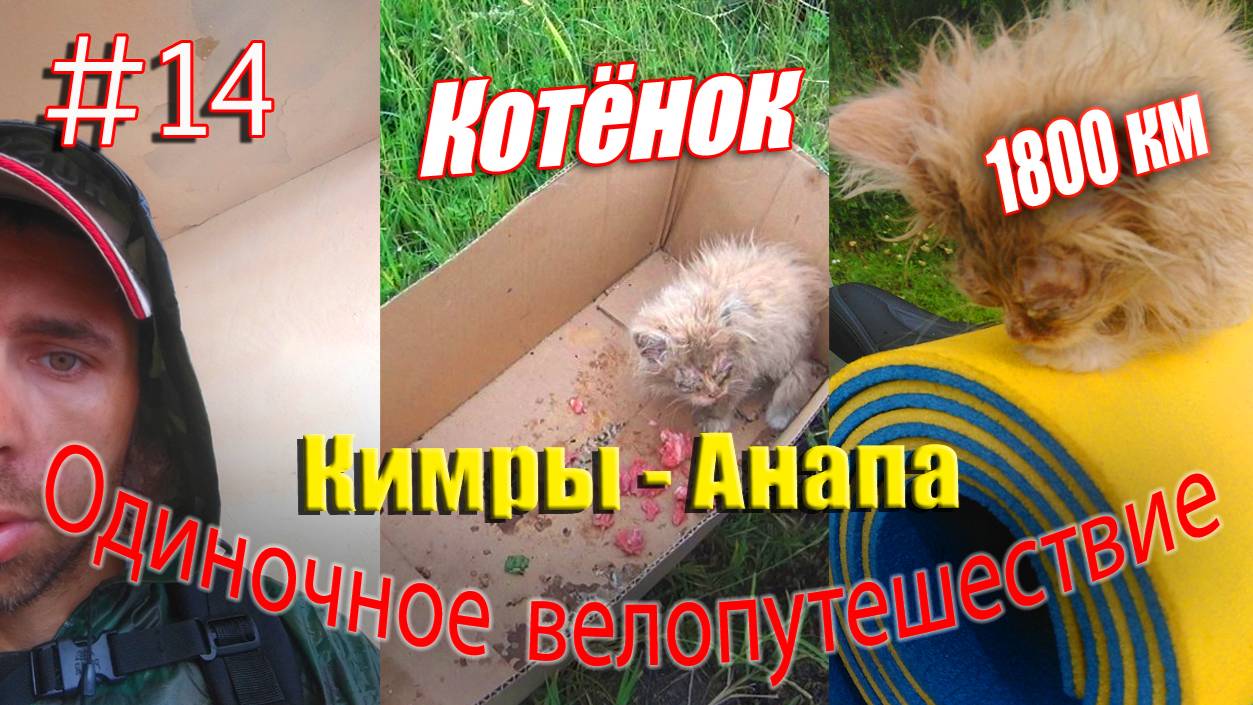 14.Велопутешествие Кимры - Анапа (Котёнок)