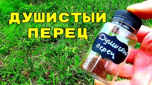 Добавил душистый перец в прикормку! Реакция карася