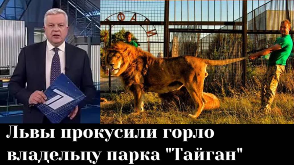 Директор "Тайгана" Зубков находится в тяжелом состоянии после нападения льва смотреть онлайн