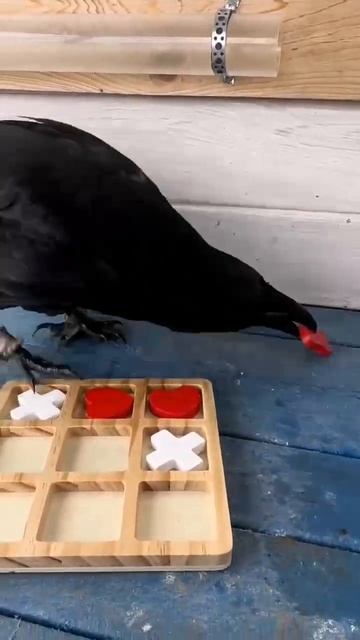 Крестики и нолики.  Умная птица