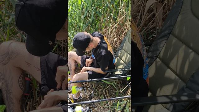 Первые шаги в Carpfishing.