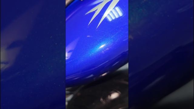 Honda CB600F Hornet 2003 синий смотреть онлайн