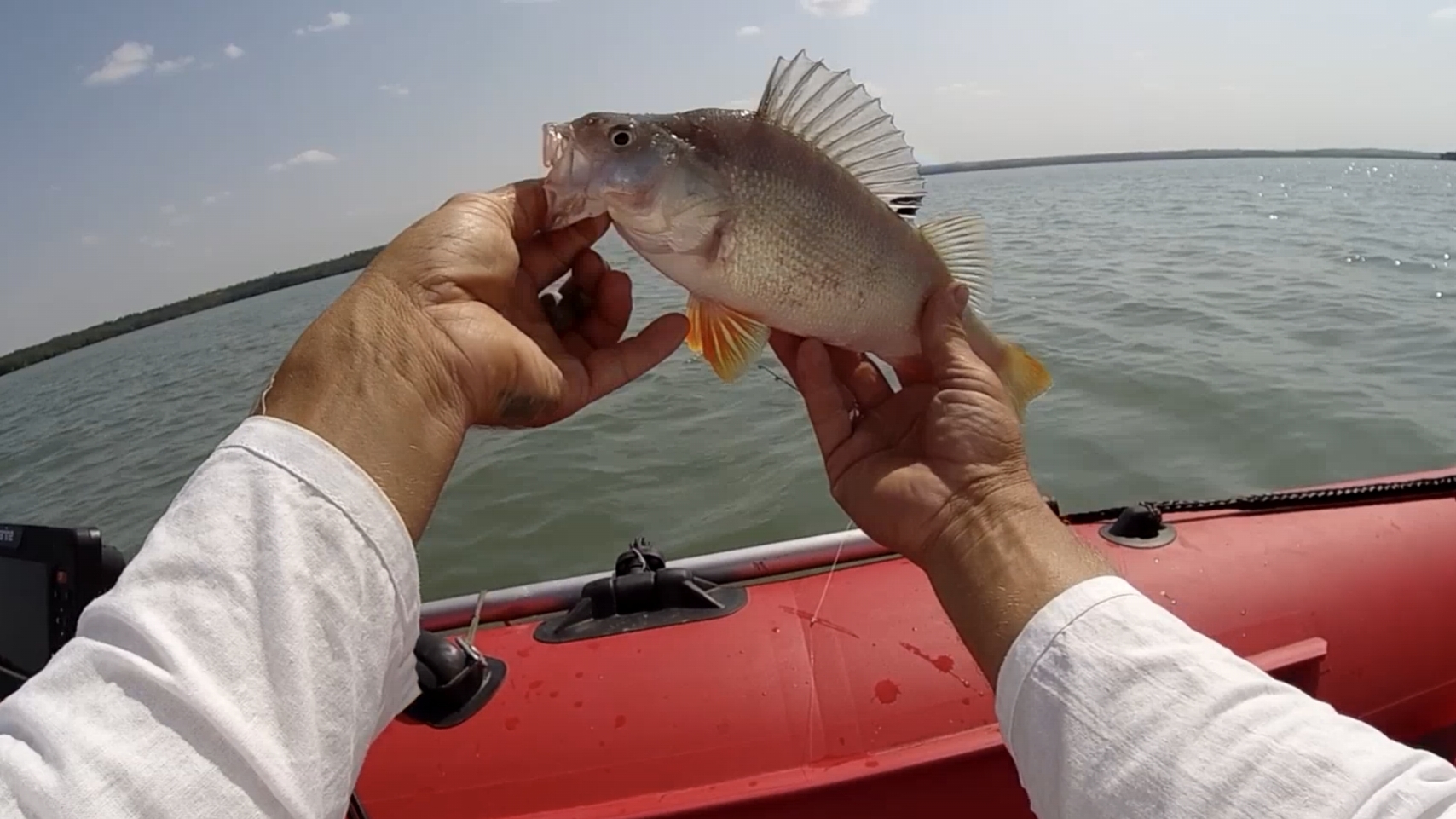 Рыбалка с лодки, ловлю окуня на отводной поводок.