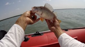 Рыбалка с лодки, ловлю окуня на отводной поводок.