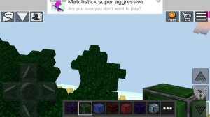 World craft