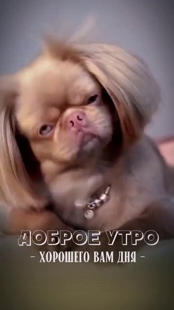 Доброе утро, Друзья ☕💖💖💖 смотреть онлайн