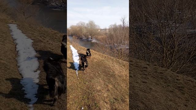 Терренкур. Начало. Зима