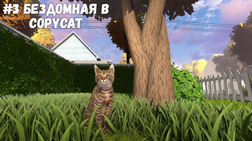 #3 Бездомная в Copycat