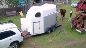 Секретный способ загрузить лошадь в коневоз